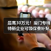 最高30万元!厦门专精特新企业可领保费补贴(图1) 最高30万元!厦门专精特新企业可领保费补贴(图1)