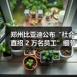郑州比亚迪公布“社会直招 2 万名员工”细节：入职即签劳动合同（图2）