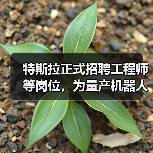 特斯拉正式招聘工程师等岗位,为量产机器人做准备(图1) 特斯拉正式招聘工程师等岗位,为量产机器人做准备(图1)