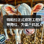 特斯拉正式招聘工程师等岗位,为量产机器人做准备(图2) 特斯拉正式招聘工程师等岗位,为量产机器人做准备(图2)