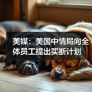 美媒:美国中情局向全体员工提出买断计划(图4) 美媒:美国中情局向全体员工提出买断计划(图4)
