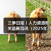 三茅日报丨人力资源相关最新简讯(2025年2月6日)(图2) 三茅日报丨人力资源相关最新简讯(2025年2月6日)(图2)