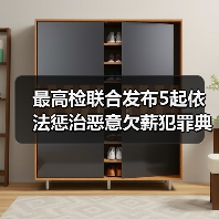 最高检联合发布5起依法惩治恶意欠薪犯罪典型案例(图3) 最高检联合发布5起依法惩治恶意欠薪犯罪典型案例(图3)