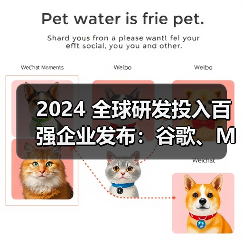 2024 全球研发投入百强企业发布:谷歌、Meta、苹果前三(图3) 2024 全球研发投入百强企业发布:谷歌、Meta、苹果前三(图3)