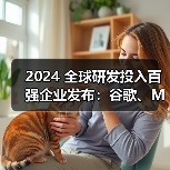 2024 全球研发投入百强企业发布:谷歌、Meta、苹果前三(图2) 2024 全球研发投入百强企业发布:谷歌、Meta、苹果前三(图2)