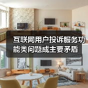 互联网用户投诉服务功能类问题成主要矛盾（图4）