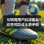 互联网用户投诉服务功能类问题成主要矛盾（图2）