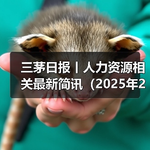 三茅日报丨人力资源相关最新简讯(2025年2月7日)(图4) 三茅日报丨人力资源相关最新简讯(2025年2月7日)(图4)