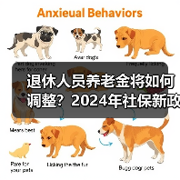 退休人员养老金将如何调整?2024年社保新政解读(图1) 退休人员养老金将如何调整?2024年社保新政解读(图1)