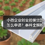 小微企业创业担保贷款怎么申请？条件全解析（图3）