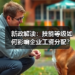 新政解读:技能等级如何影响企业工资分配?技能强企如何推动增收?(图3) 新政解读:技能等级如何影响企业工资分配?技能强企如何推动增收?(图3)