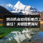 培训机会如何影响员工留任?关键因素揭秘(图4) 培训机会如何影响员工留任?关键因素揭秘(图4)