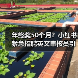 年终奖50个月?小红书紧急招聘英文审核员引爆职场新政(图1) 年终奖50个月?小红书紧急招聘英文审核员引爆职场新政(图1)