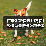 广东GDP首破14万亿?经济总量持续领跑全国(图4) 广东GDP首破14万亿?经济总量持续领跑全国(图4)