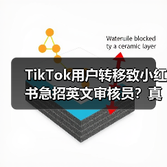 TikTok用户转移致小红书急招英文审核员?真相曝光(图4) TikTok用户转移致小红书急招英文审核员?真相曝光(图4)