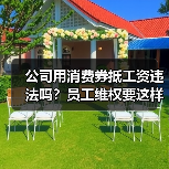 公司用消费券抵工资违法吗？员工维权要这样做（图3）