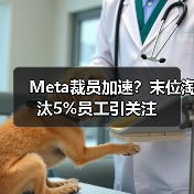 Meta裁员加速?末位淘汰5%员工引关注(图1) Meta裁员加速?末位淘汰5%员工引关注(图1)