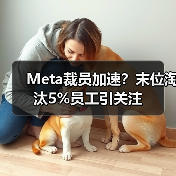 Meta裁员加速?末位淘汰5%员工引关注(图4) Meta裁员加速?末位淘汰5%员工引关注(图4)