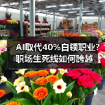 AI取代40%白领职业?职场生死线如何跨越(图4) AI取代40%白领职业?职场生死线如何跨越(图4)