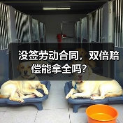 没签劳动合同，双倍赔偿能拿全吗？（图2）