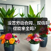 没签劳动合同，双倍赔偿能拿全吗？（图4）
