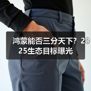 鸿蒙能否三分天下?2025生态目标曝光(图3) 鸿蒙能否三分天下?2025生态目标曝光(图3)