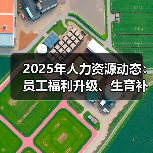 2025年人力资源动态：员工福利升级、生育补贴与挑战（图2）
