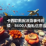 卡西欧数据泄露事件后续:8600人隐私信息遭泄露(图2) 卡西欧数据泄露事件后续:8600人隐私信息遭泄露(图2)