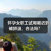 怀孕女职工试用期迟到被辞退，合法吗？（图2）