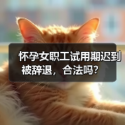 怀孕女职工试用期迟到被辞退，合法吗？（图3）