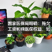 国家医保局明确：拖欠工资影响医保权益，如何保障？（图3）