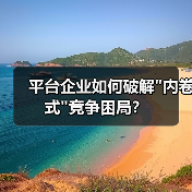 平台企业如何破解