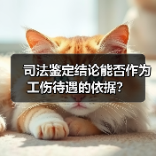 司法鉴定结论能否作为工伤待遇的依据?(图1) 司法鉴定结论能否作为工伤待遇的依据?(图1)