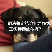 司法鉴定结论能否作为工伤待遇的依据?(图4) 司法鉴定结论能否作为工伤待遇的依据?(图4)