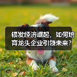 银发经济崛起,如何培育龙头企业引领未来?(图3) 银发经济崛起,如何培育龙头企业引领未来?(图3)