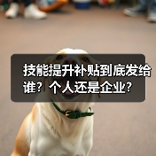 技能提升补贴到底发给谁？个人还是企业？（图2）