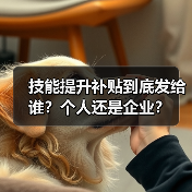 技能提升补贴到底发给谁？个人还是企业？（图3）