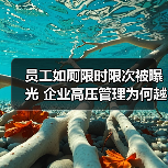 员工如厕限时限次被曝光 企业高压管理为何越界？（图1）