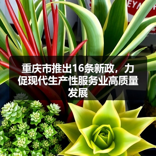 重庆市推出16条新政，力促现代生产性服务业高质量发展(图2)