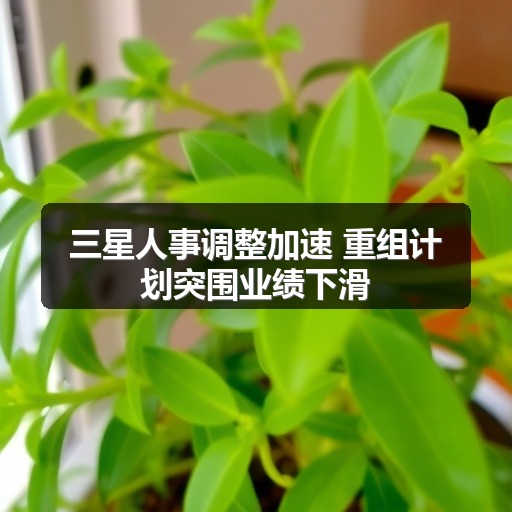 三星人事调整加速 重组计划突围业绩下滑(图2) 三星人事调整加速 重组计划突围业绩下滑(图2)