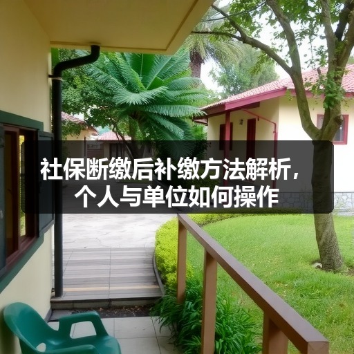 社保断缴后补缴方法解析,个人与单位如何操作(图2) 社保断缴后补缴方法解析,个人与单位如何操作(图2)