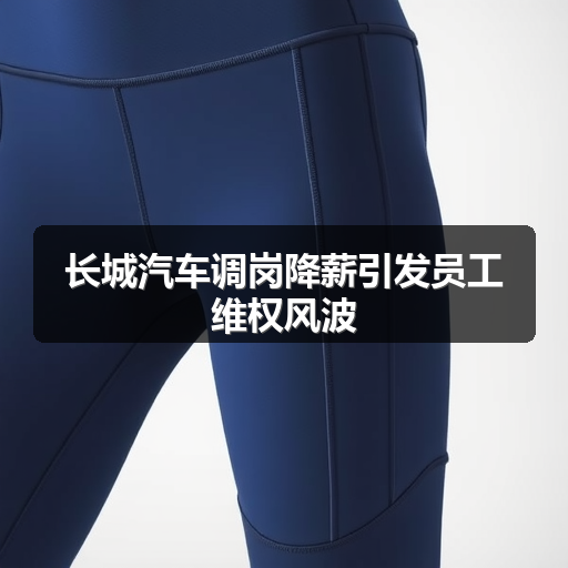 长城汽车调岗降薪引发员工维权风波(图2) 长城汽车调岗降薪引发员工维权风波(图2)