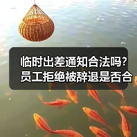 临时出差通知合法吗？员工拒绝被辞退是否合规？（图3）