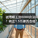 试用期工资8000合法吗？转正1.5万是否合规？（图1）