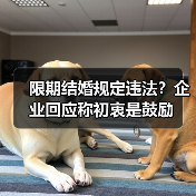 限期结婚规定违法？企业回应称初衷是鼓励（图2）