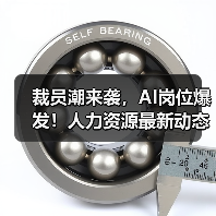 裁员潮来袭,AI岗位爆发!人力资源最新动态全解析(图2) 裁员潮来袭,AI岗位爆发!人力资源最新动态全解析(图2)