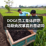 DOGE员工集体辞职，马斯克改革真的靠谱吗？（图1）