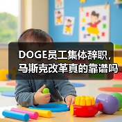 DOGE员工集体辞职，马斯克改革真的靠谱吗？（图2）