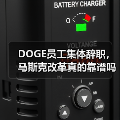 DOGE员工集体辞职，马斯克改革真的靠谱吗？（图4）