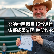 奔驰中国裁员15%销售体系成重灾区 赔偿N+9引关注(图1) 奔驰中国裁员15%销售体系成重灾区 赔偿N+9引关注(图1)